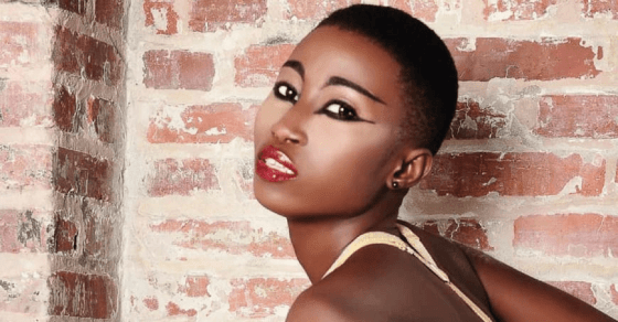 alma1024x536-870x455