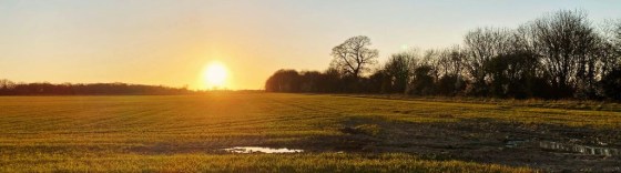 Sunset over a field